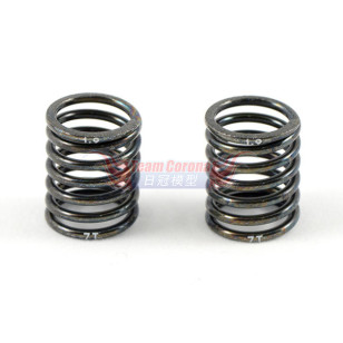 INFINITY  REAR SPRING (R8012 / R8013 / R8014 / R8019 / R8021 )